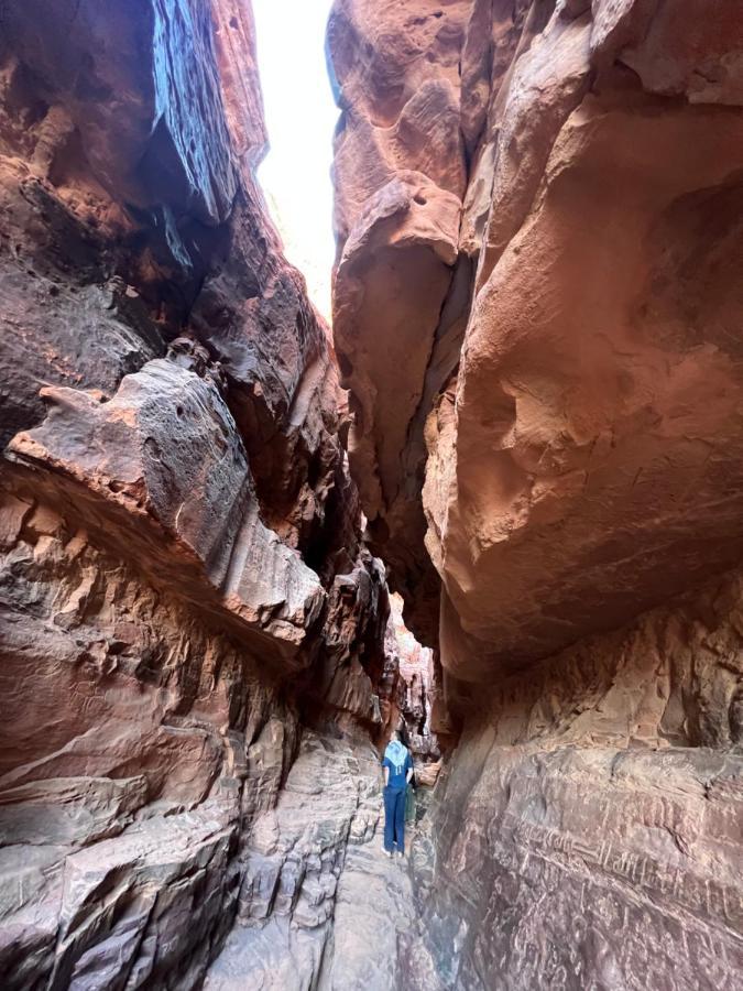 Wadi Rum Trip Dış mekan fotoğraf