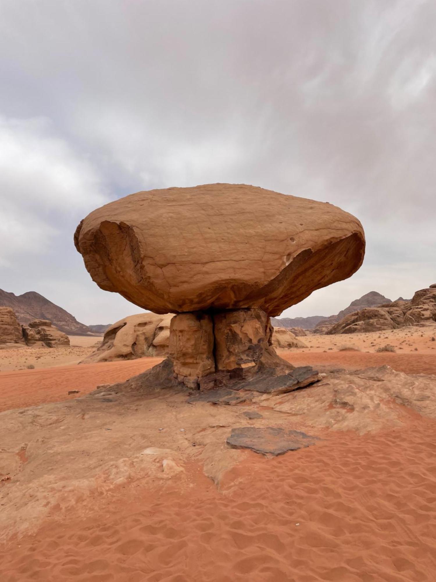 Wadi Rum Trip Dış mekan fotoğraf